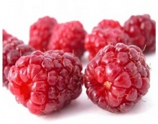 深圳红树莓